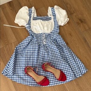 Dorothy wizard of oz dress and shoes